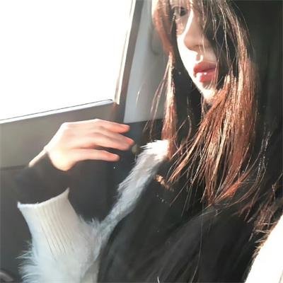 无毛犬奇遇记